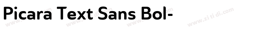 Picara Text Sans Bol字体转换